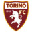 Torino Icon